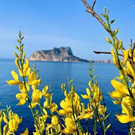 Vh Costablanca - Apartamento Riviera 莫莱拉 外观 照片