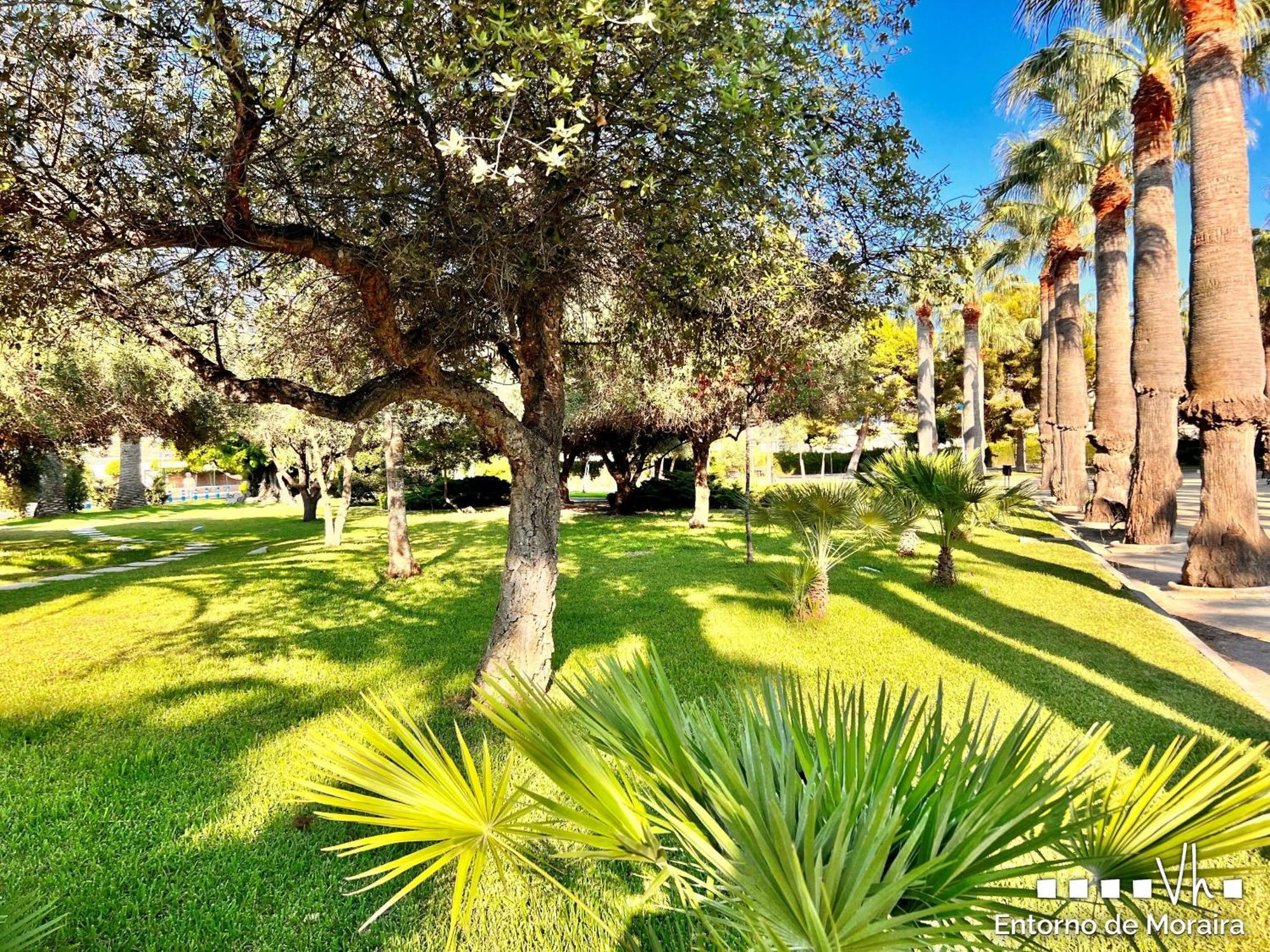 Vh Costablanca - Apartamento Riviera 莫莱拉 外观 照片